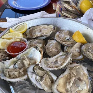 Oyster on the half shell