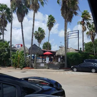 a parking lot with palm trees