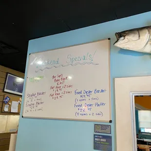 a fish mounted on the wall