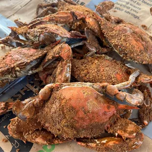 Large delicious crabs from Capt Crab!