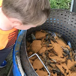 Freshly seasoned prior to heading to the steamer.