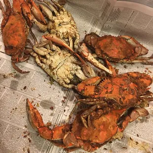 Tasty Large Male Crabs.
