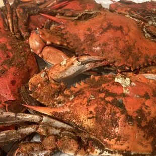 a close up of a crab