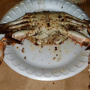 Large male was heavy and cooked perfect. Made to order and even threw in xtra