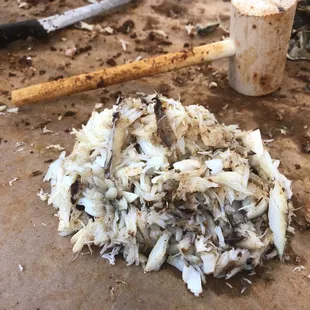 Fresh picked! Capt Dicks also has large rolls of thick brown paper that you can get if needed to lay down on your tables for easy clean up!