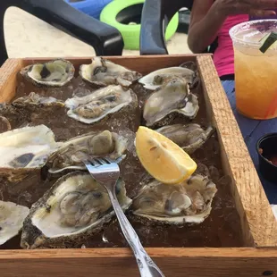 Dozen oysters