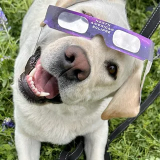 Destination Not Required B.