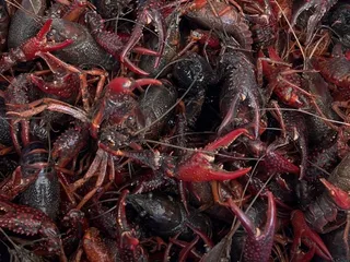 Amy's Seafood