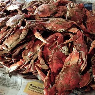roughly four dozen steamed number one Jimmys: $50
