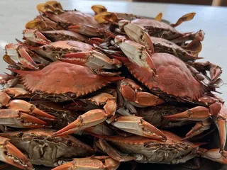 Endurance Seafood
