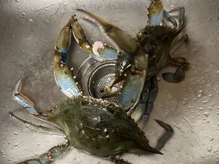 Outland Seafood