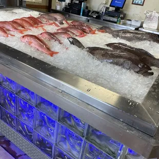 Captain Mark's Seafood