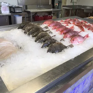 a display of fresh seafood
