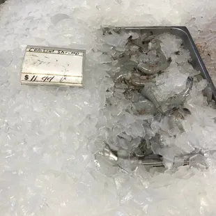 a tray of shrimp on ice