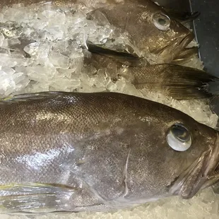 Grouper