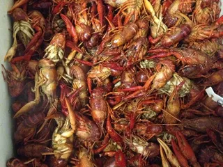 Michelle's Cajun Shack