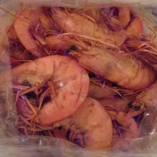Boiled Shrimp