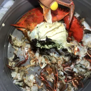 a person holding a crab