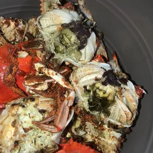 a close up of a crab