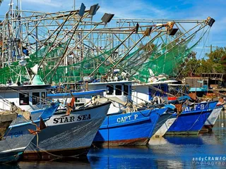 David Chauvin's Seafood