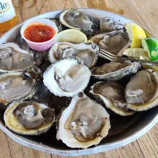 mussels, food, oysters, shellfish, oysters and mussels