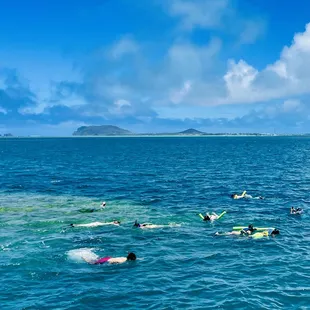 Snorkeling at the reef