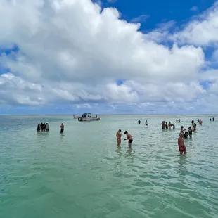 Kaneohe sandbar