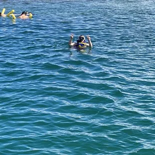 Snorkeling in the coral reef