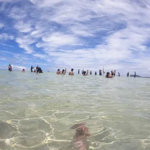 Sitting on the water at the Sand bar