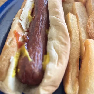 Hot Dog Sandwich with mustard and ketchup and French Fries