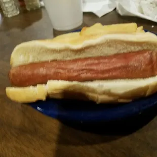 The worst hot dog I&apos;ve ever seen. So bad that my son didn&apos;t even eat it.
