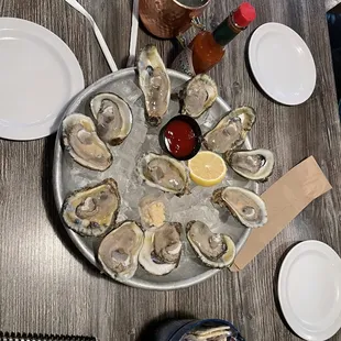 Oysters