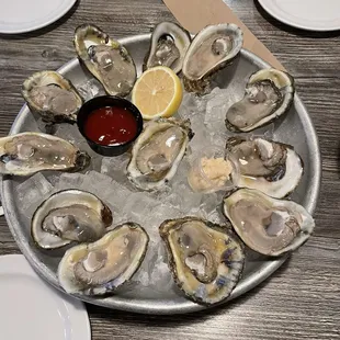 Shucked oysters