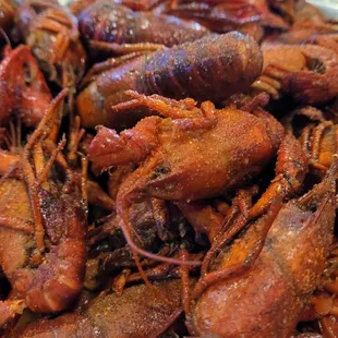 Crawfish