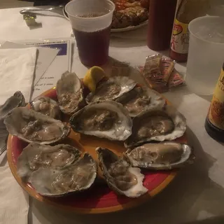 Oysters