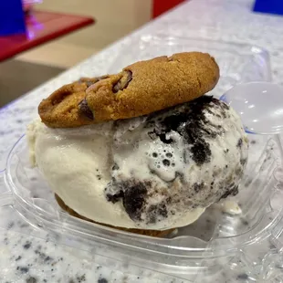 Ice Cream Sandwich