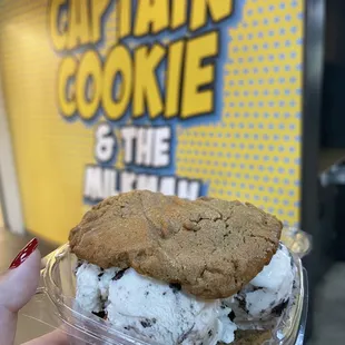 Chocolate Chip Cookie - Peanut Butter Cookie combo with cookies and cream ice cream