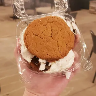 Ice cream sandwich