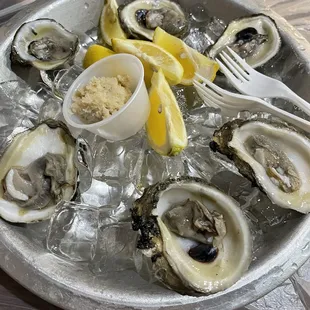 Super smoll oysters... why they built like that