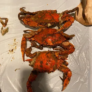 No way these are large crabs