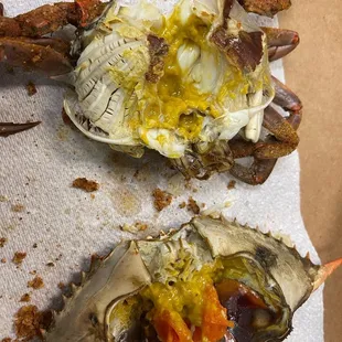 food, oysters and mussels