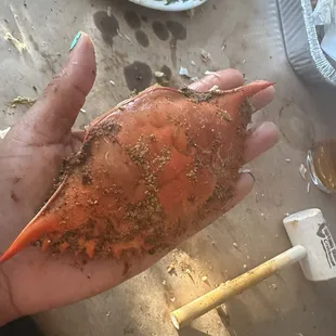 Ridiculously small but perfectly cooked and seasoned