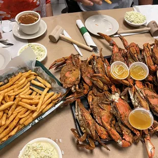 food, oysters, oysters and mussels, shellfish, mussels