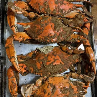 a tray of cooked crabs