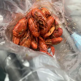 Crawfish