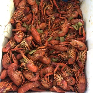 Big hot and spicy crawfish $4.69 lb. or 5 lbs special for $20.99