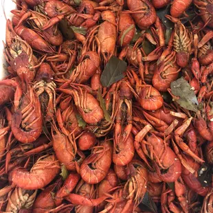 Fresh Crawfish coming hot and spicy