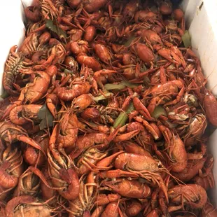 Come get some of this datlicious crawfish
