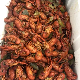 Fresh hot and spicy crawfish