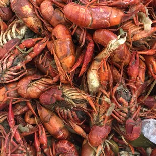 We&apos;re open for take out.  5 lbs crawfish special for $15.99.
